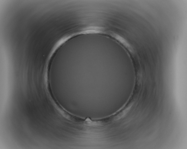 X0000115331469200911091235