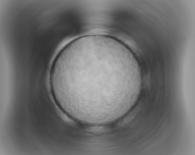 X0000115331470200911091235
