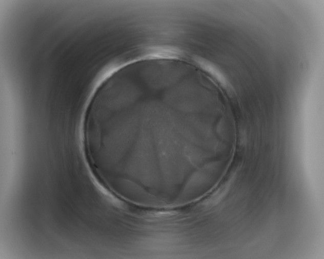 X0000115331471200911091235