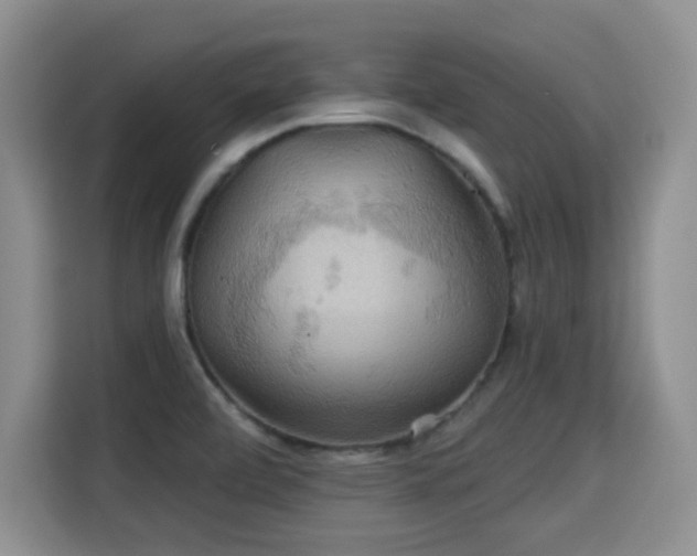 X0000115331472200911091235
