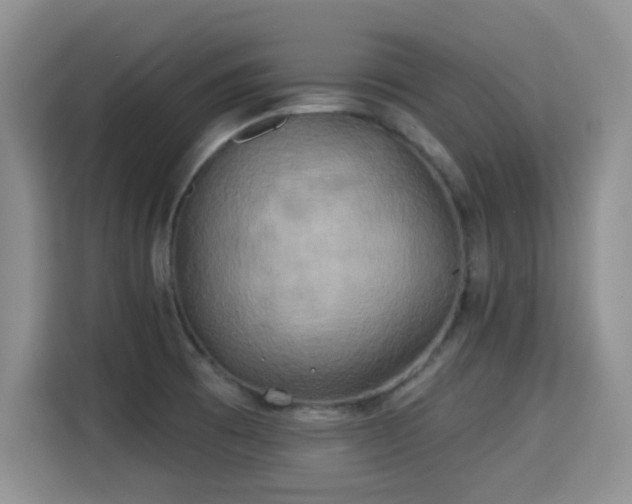 X0000115331473200911091235
