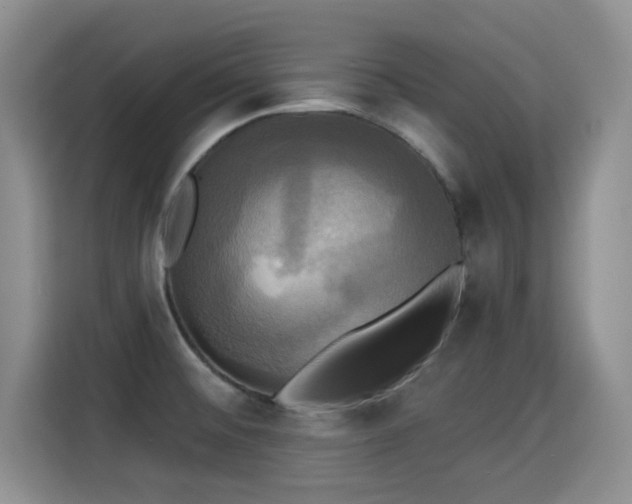 X0000115331476200911091235