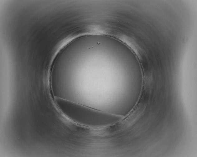 X0000115331477200911091235