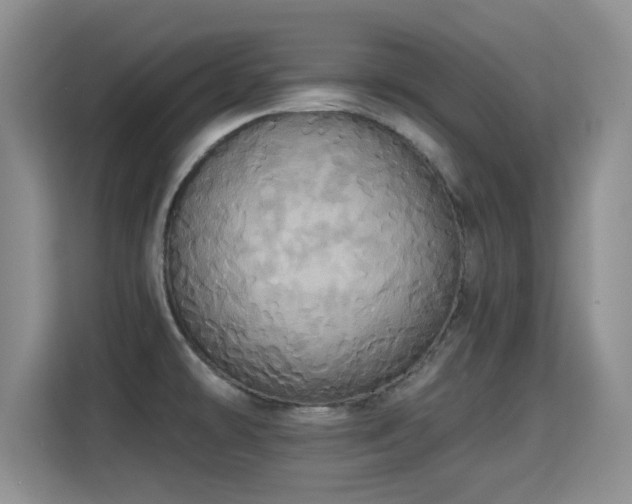 X0000115331478200911091235