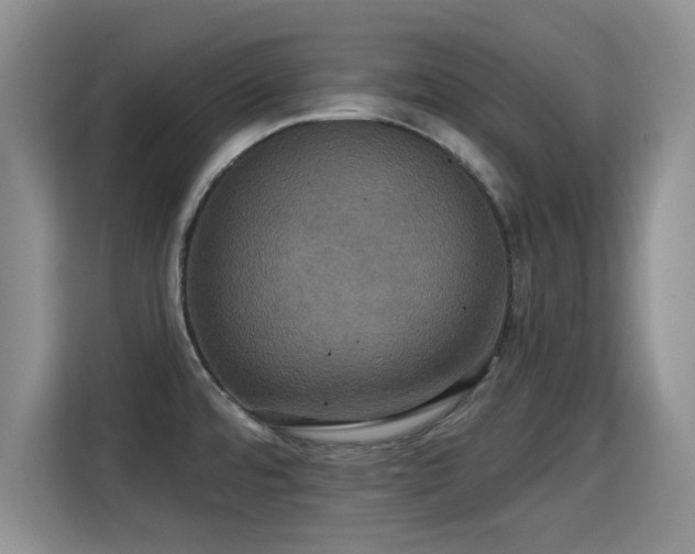 X0000115331480200911091235