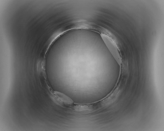X0000115331481200911091235