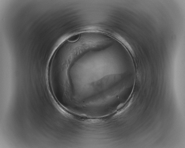 X0000115331482200911091235