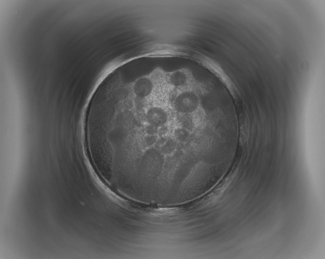 X0000115331483200911091235