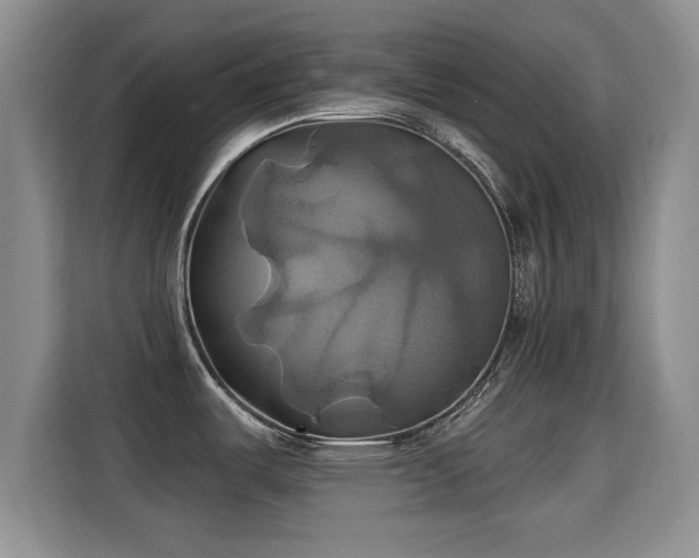 X0000115331487200911091235