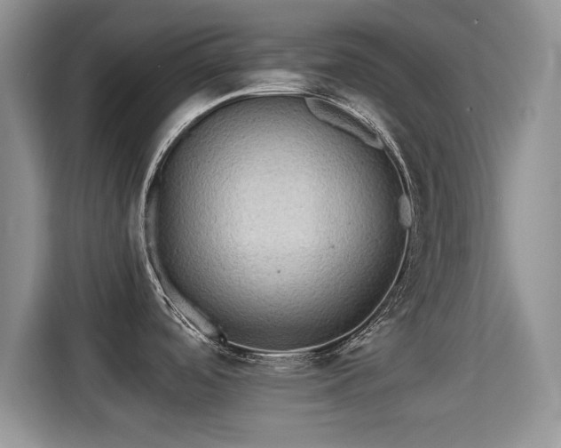 X0000115331488200911091235
