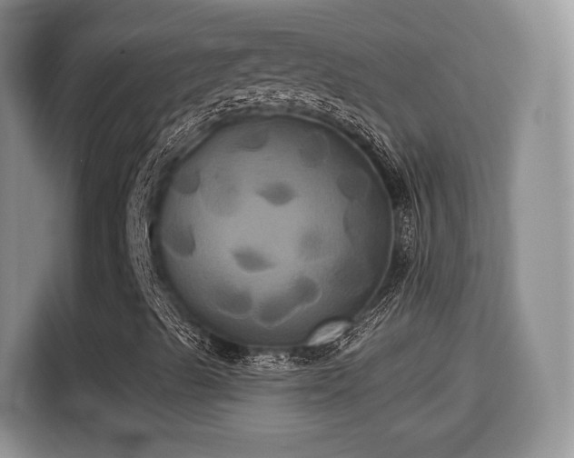 X0000115331489200911091234