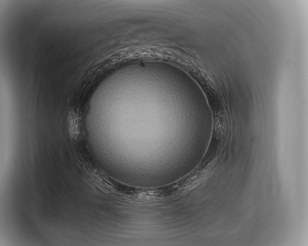 X0000115331490200911091234