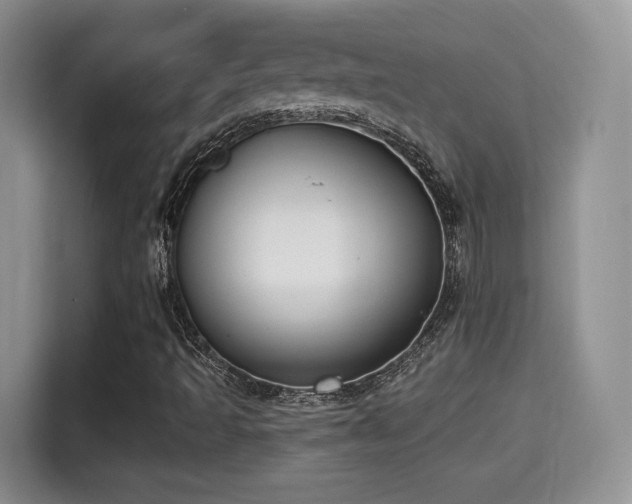 X0000115331493200911091234