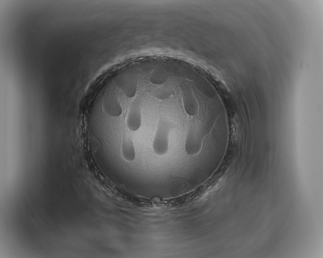 X0000115331494200911091234