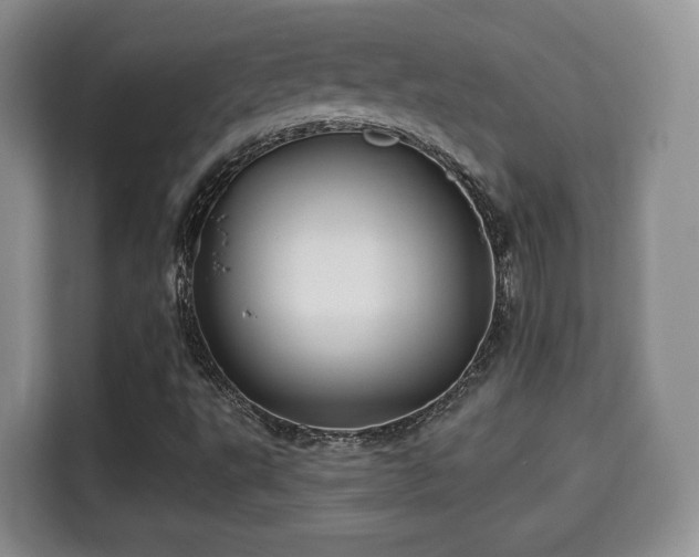 X0000115331495200911091234