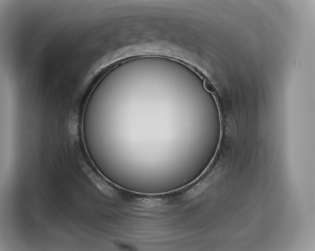 X0000115331499200911091234