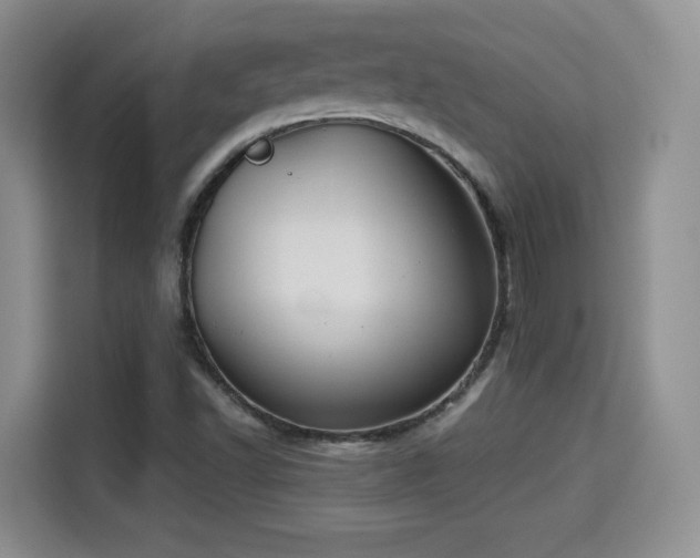X0000115331502200911091234
