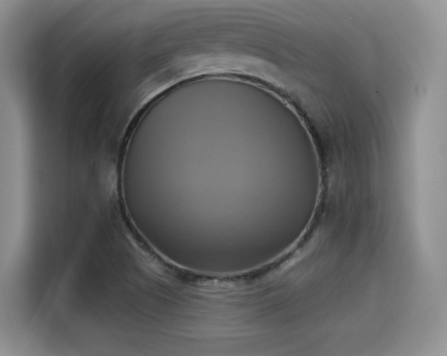 X0000115331505200911091234
