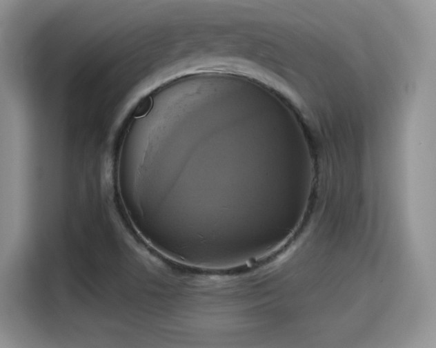 X0000115331506200911091234