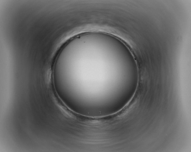 X0000115331507200911091234
