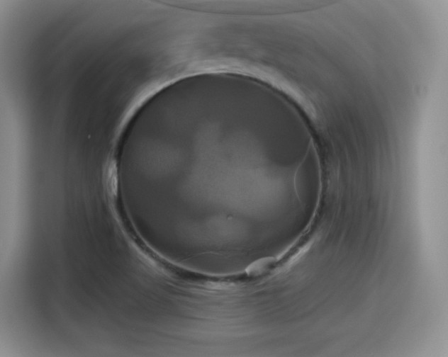X0000115331509200911091235