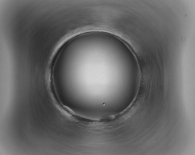X0000115331511200911091235