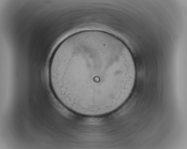 X0000115331514200911091235