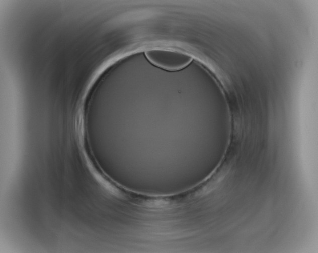 X0000115331515200911091235