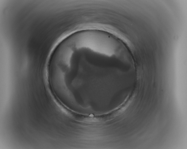 X0000115331517200911091235
