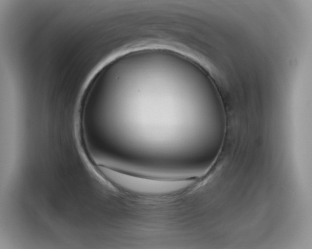X0000115331518200911091235