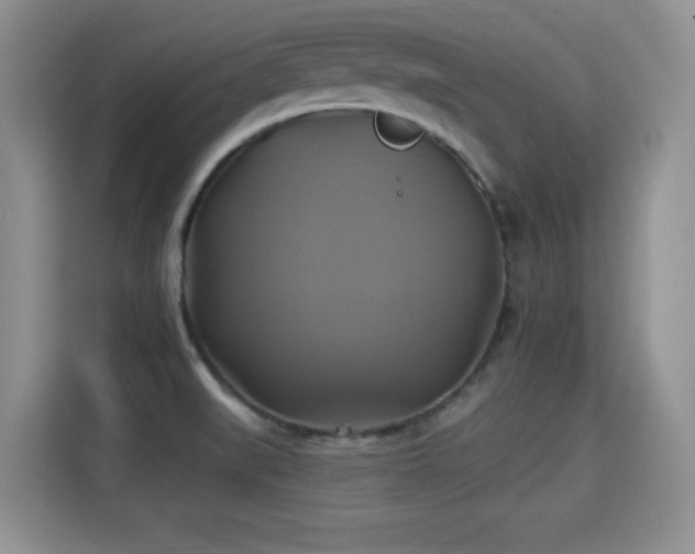 X0000115331519200911091235