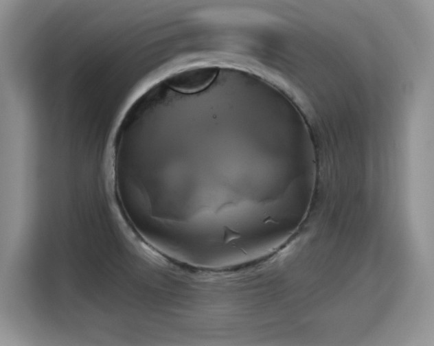 X0000115331522200911091235