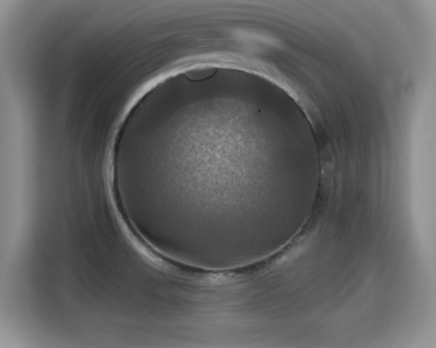 X0000115331523200911091235