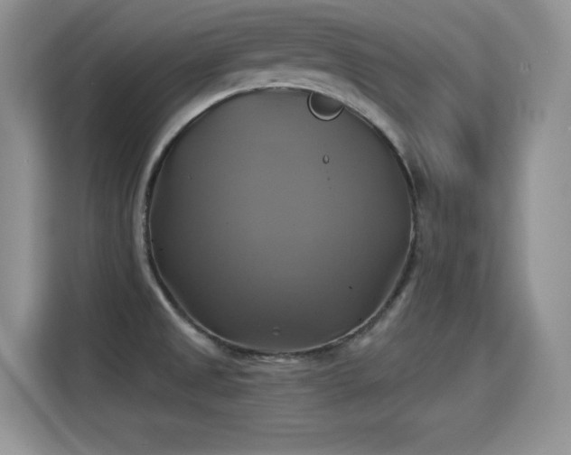X0000115331525200911091235