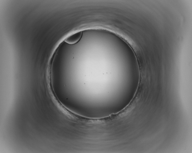 X0000115331526200911091235