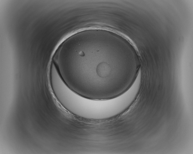 X0000115331530200911091235