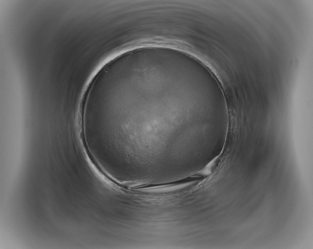 X0000115331531200911091235