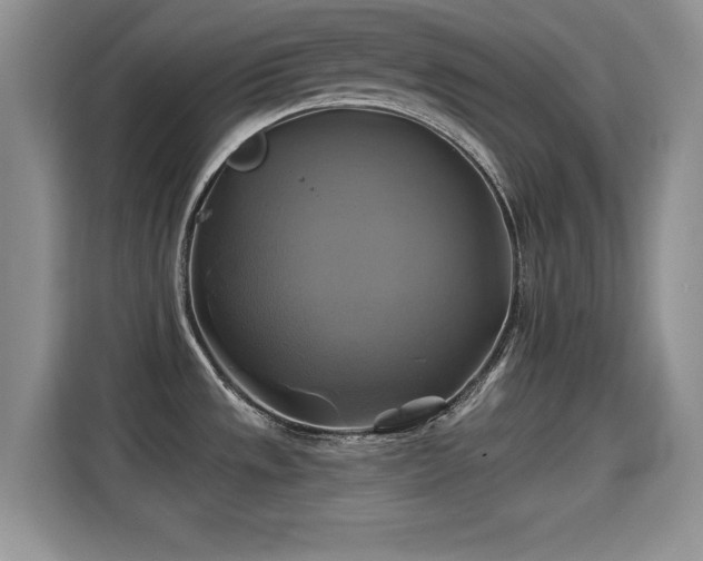 X0000115331533200911091235