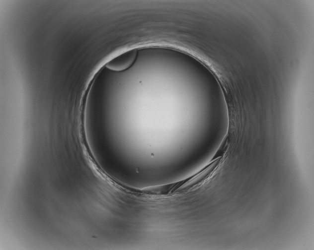 X0000115331534200911091235