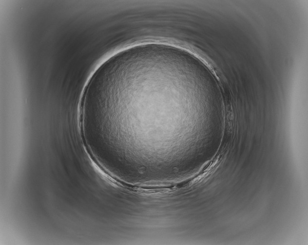 X0000115331535200911091235