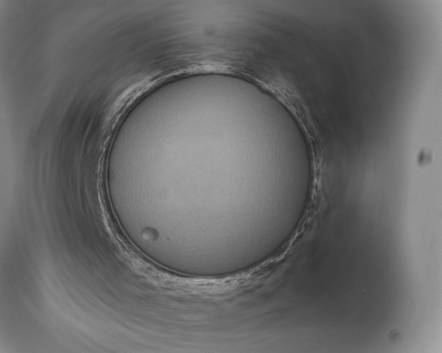 X0000115330001200911161820