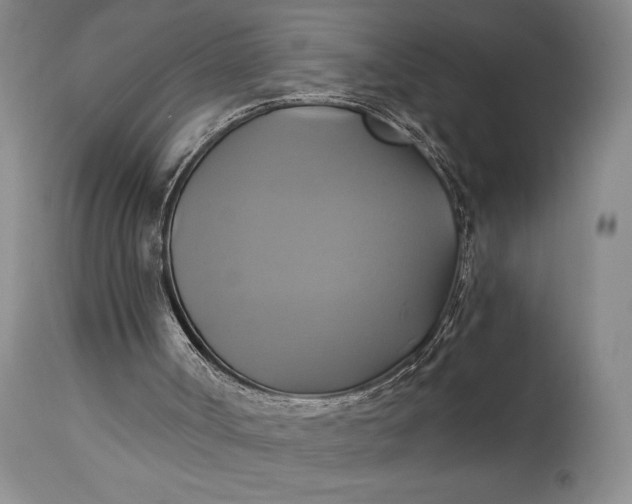 X0000115330002200911161820