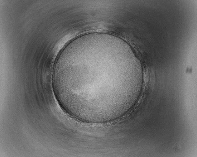 X0000115330003200911161820