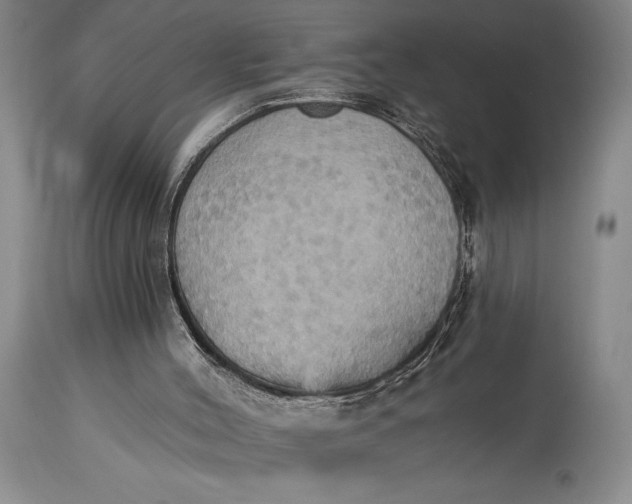 X0000115330004200911161820