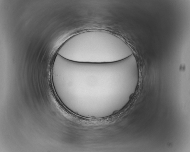 X0000115330005200911161820