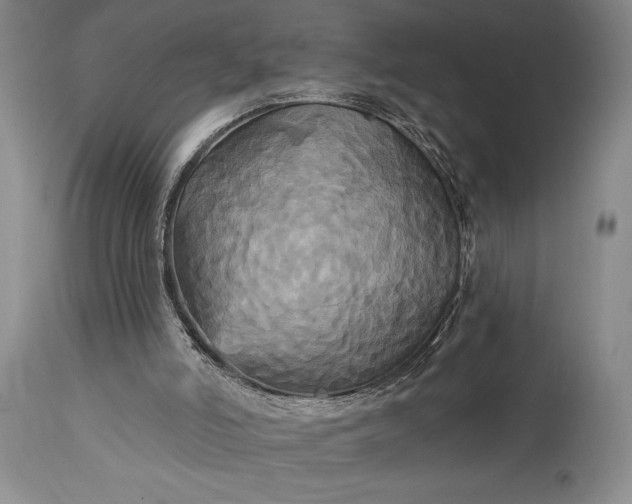 X0000115330006200911161820