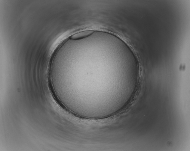 X0000115330007200911161820