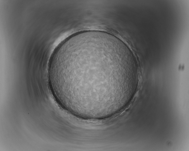 X0000115330008200911161820