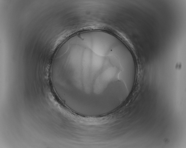 X0000115330010200911161820