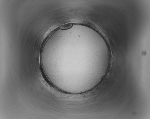 X0000115330011200911161819